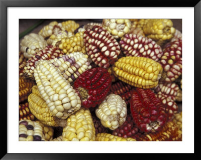 Corn, Maize, Peru Framed Print Corn, Maize, Peru Framed Print
