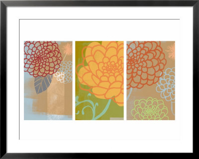 Mums Triptych Framed Print Mums Triptych Framed Print