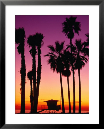cartoon sunset on beach. sunset on each with palm