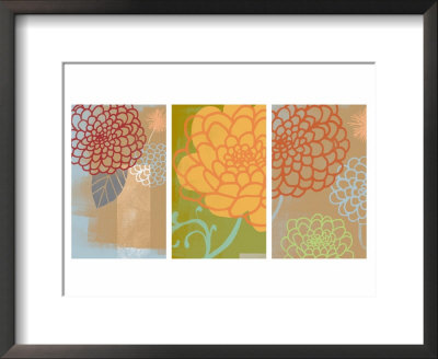 Mums Triptych Framed Print Mums Triptych Framed Print