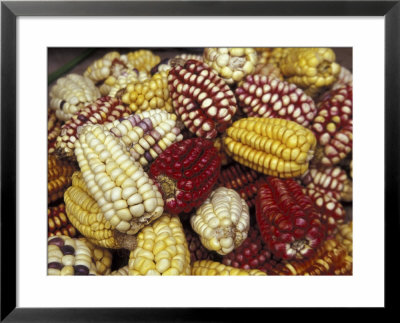 Corn, Maize, Peru Framed Print Corn, Maize, Peru Framed Print