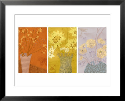 Floral Sketches Triptych Framed Print Floral Sketches Triptych Framed Print