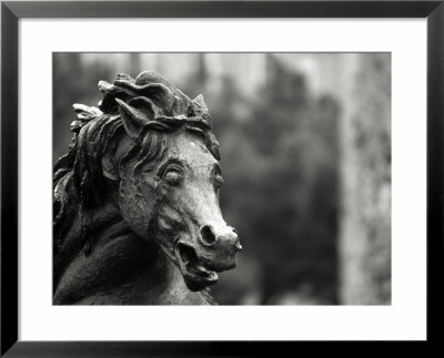 Statue Of War Horse Framed Print Statue Of War Horse Framed Print