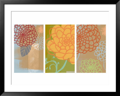 Mums Triptych Framed Print Mums Triptych Framed Print
