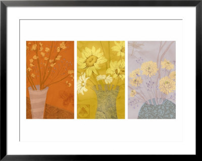 Floral Sketches Triptych Framed Print Floral Sketches Triptych Framed Print