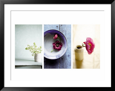 Zen Blossoms Triptych Framed Print Zen Blossoms Triptych Framed Print
