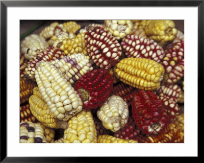 Corn, Maize, Peru Framed Print Corn, Maize, Peru Framed Print