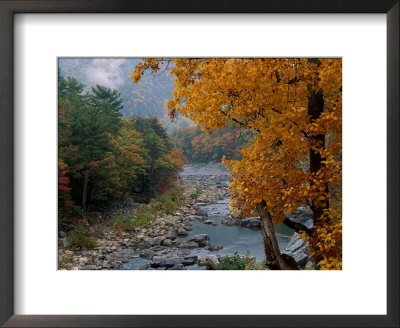 Autumn View Framed Print Autumn View Framed Print
