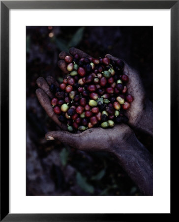Coffee beans Framed Print Coffee beans Framed Print