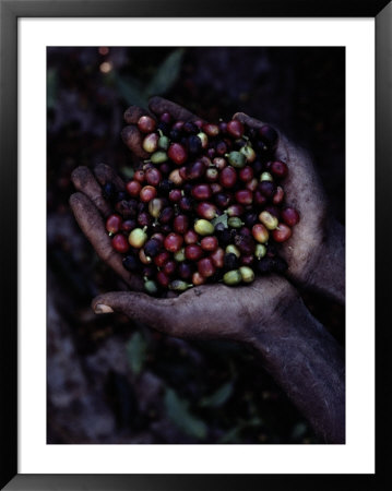 Coffee beans Framed Print Coffee beans Framed Print