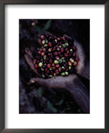 Coffee beans Framed Print Coffee beans Framed Print