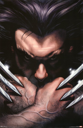 Wolverine Poster Wolverine Poster