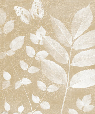 Magical Leaves I Print Magical Leaves I Print