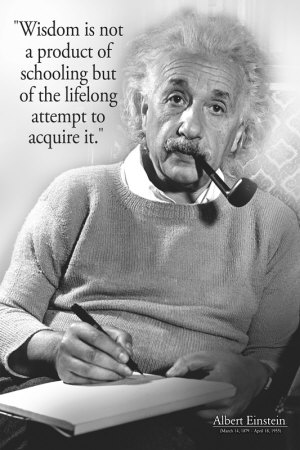 Einstein - Wisdom Poster Einstein - Wisdom Poster