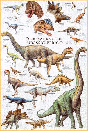 Dinosaurs - Jurassic Period Poster Dinosaurs - Jurassic Period Poster
