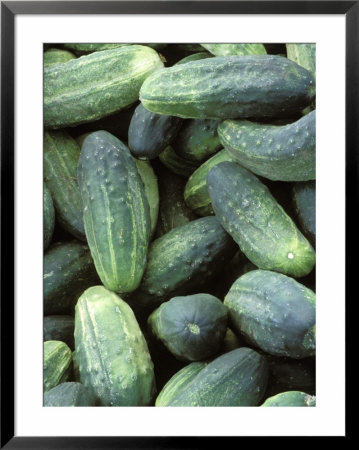 Cucumbers Framed Print Cucumbers Framed Print