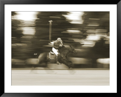 Polo Framed Print Polo Framed Print