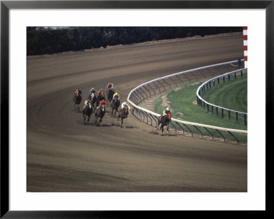 Nine Race Horses Framed Print Nine Race Horses Framed Print