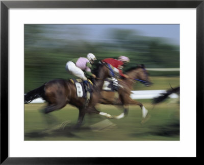 Thundering Hooves Framed Print Thundering Hooves Framed Print