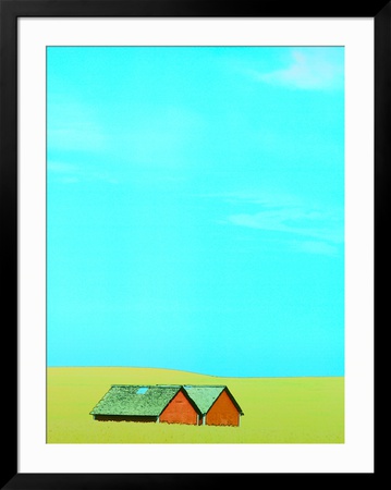 Red Barns in Yellow Field Framed Print Red Barns in Yellow Field Framed Print