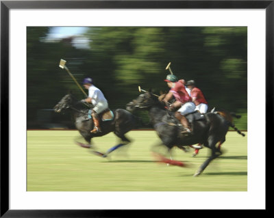 Polo Framed Print Polo Framed Print