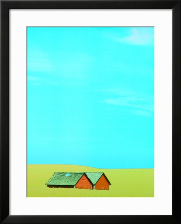 Red Barns in Yellow Field Framed Print Red Barns in Yellow Field Framed Print