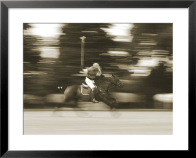 Polo Framed Print Polo Framed Print