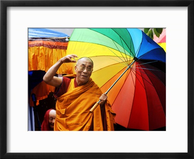 The Dalai Lama Framed Print The Dalai Lama Framed Print