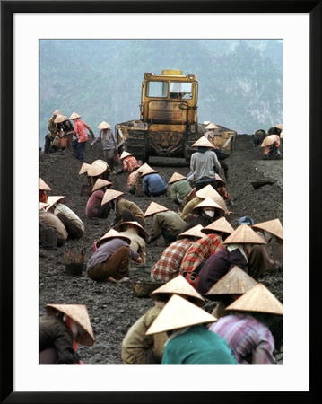 A Group of Scavenger Coal Workers Framed Print A Group of Scavenger Coal Workers Framed Print