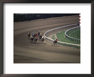 Nine Race Horses Framed Print Nine Race Horses Framed Print