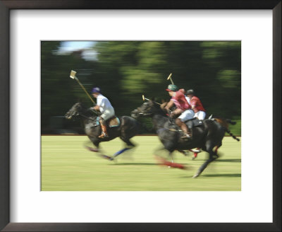 Polo Framed Print Polo Framed Print