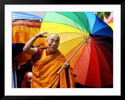 The Dalai Lama Framed Print The Dalai Lama Framed Print