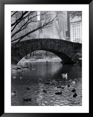 Central Park, New York City, USA Framed Print Central Park, New York City, USA Framed Print