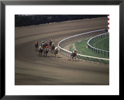 Nine Race Horses Framed Print Nine Race Horses Framed Print