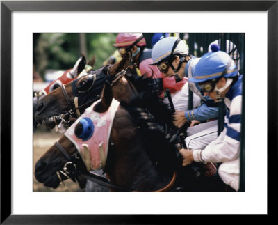 At the Starting Gate Framed Print At the Starting Gate Framed Print