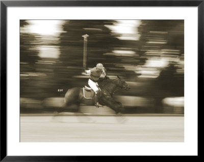 Polo Framed Print Polo Framed Print