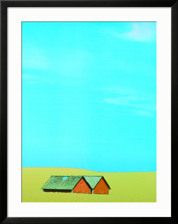 Red Barns in Yellow Field Framed Print Red Barns in Yellow Field Framed Print