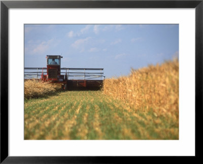 Combine in field Framed Print Combine in field Framed Print
