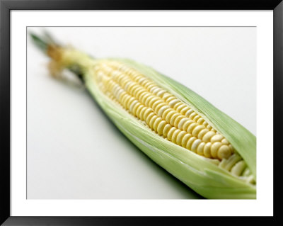 An Ear of Corn Framed Print An Ear of Corn Framed Print