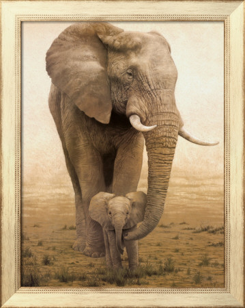 Momma's Boy Framed Print Momma's Boy Framed Print