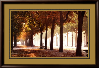 Champs-Elysees Framed Print Champs-Elysees Framed Print
