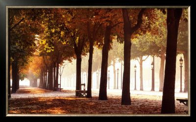 Champs-Elysees Framed Print Champs-Elysees Framed Print