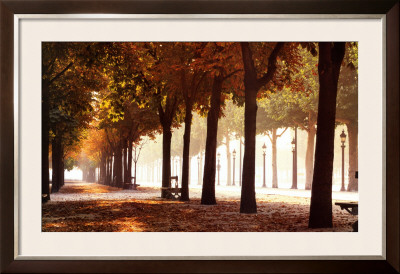 Champs-Elysees Framed Print Champs-Elysees Framed Print