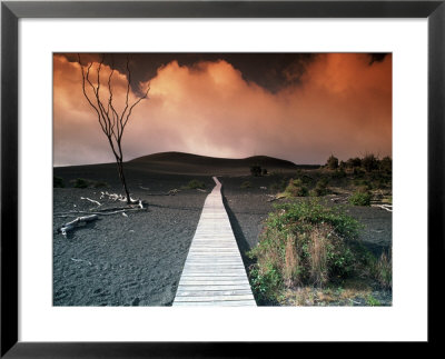 Devastation trail, HI Framed Print Devastation trail, HI Framed Print