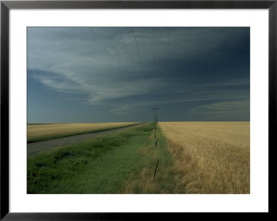 Wheat, Kansas Framed Print Wheat, Kansas Framed Print