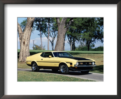 1971 Ford Mustang Boss 351 Framed Print 1971 Ford Mustang Boss 351 Framed Print
