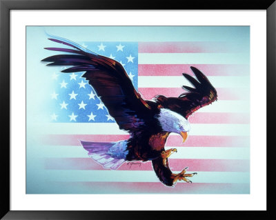 Eagle and US Flag Framed Print Eagle and US Flag Framed Print