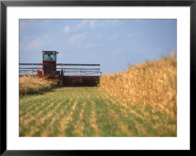 Combine in field Framed Print Combine in field Framed Print