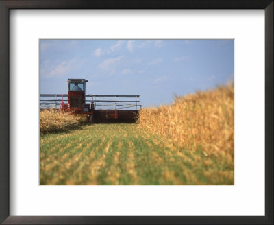 Combine in field Framed Print Combine in field Framed Print