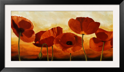 In The Sun Framed Print In The Sun Framed Print